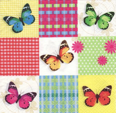 Butterflies & squares (S)